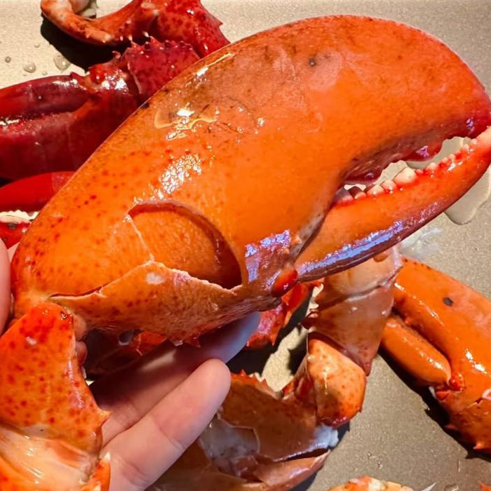 Lobster Roll Kit 6-Pack